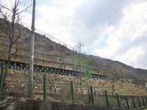 IMGP3406