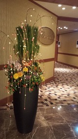 20141231_191622(0)