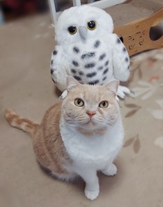 Point Blur_20260222_075122