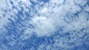 20250604_095731
