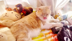 Point Blur_20260130_112622