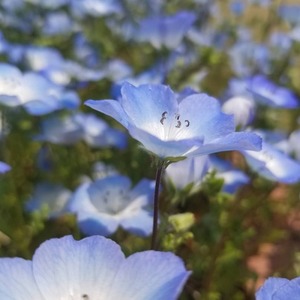 IMG_20200427_071908_481