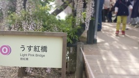 20140503_134058