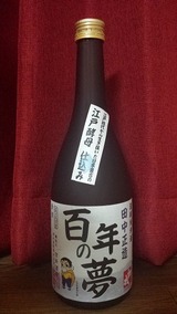 20130817_191135