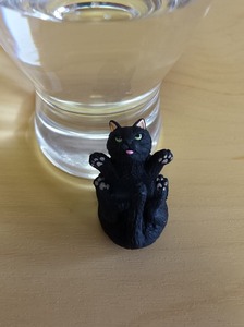 20170310_101401