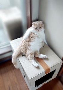 Point Blur_20250819_100503