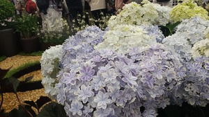 20160514_125352