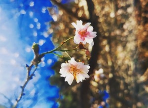 IMG_20221114_133211_879