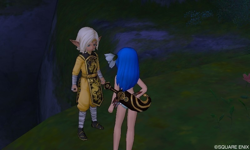Lv100開放クエスト 星辰武王の審判 ブルードのブログ Dq10 Lv100開放クエスト 星辰武王の審判 ブルードのブログ Dq10