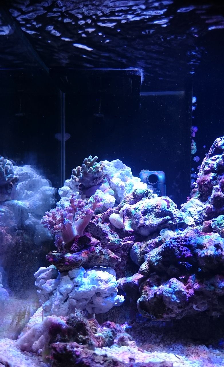 人工ライブロック.  No.32.   CO2無害化処理済 07.png