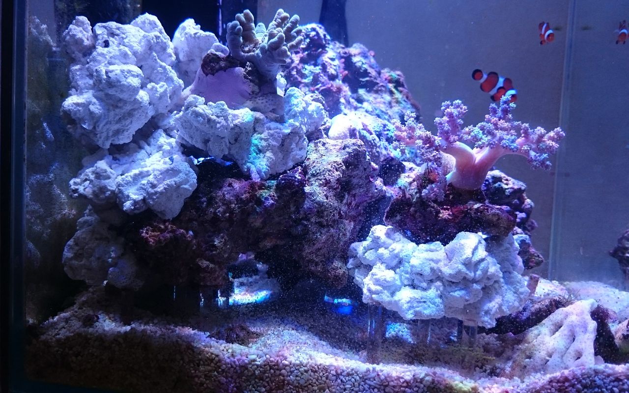 着後レビューで 送料無料 ハンドメイド品 ライブロック レプリカrll024 Www Anavara Com