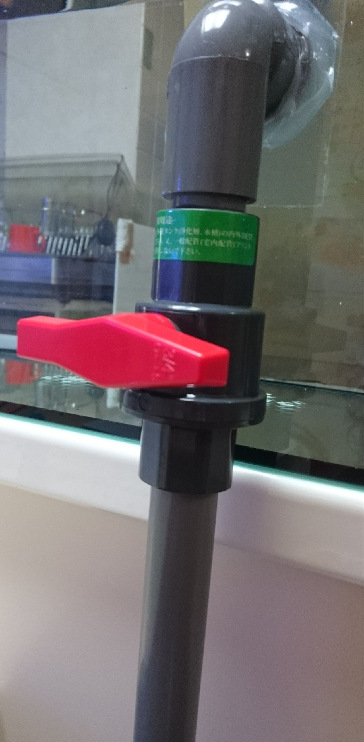 サイドオーバーフロー配管作業その4 我が家の小さな水族館