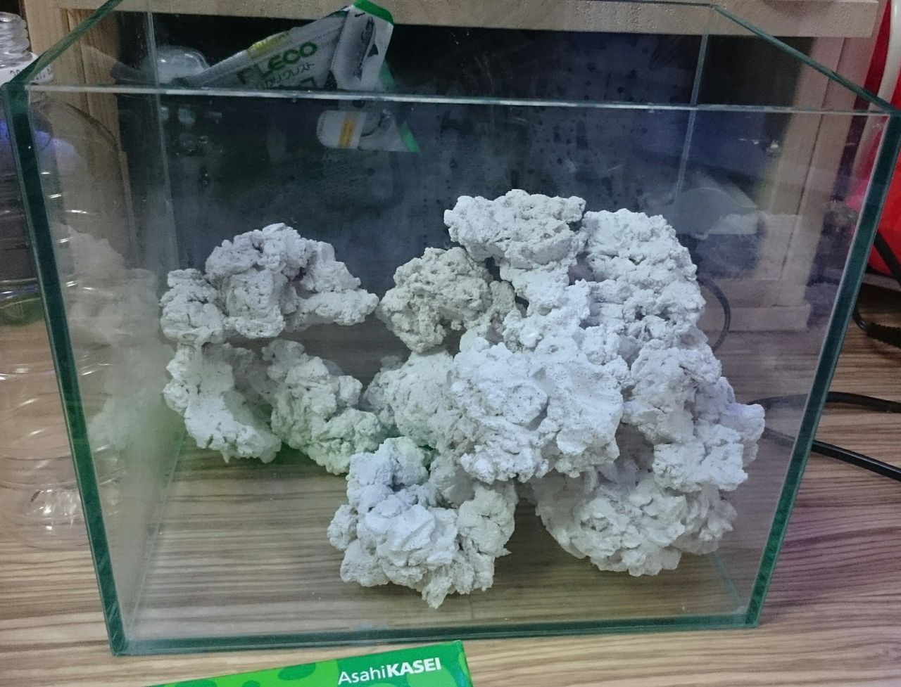 セメントアク抜き途中経過報告2 : 我が家の小さな水族館