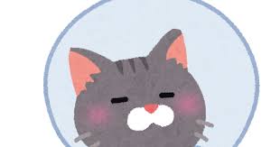 猫 エリザベスカラー