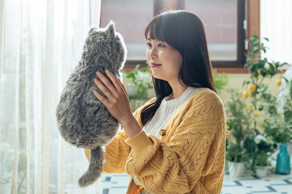 ねこ ぬいぐるみ