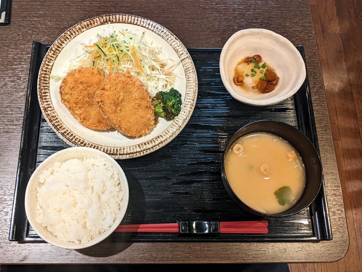 09yamaneko030117482