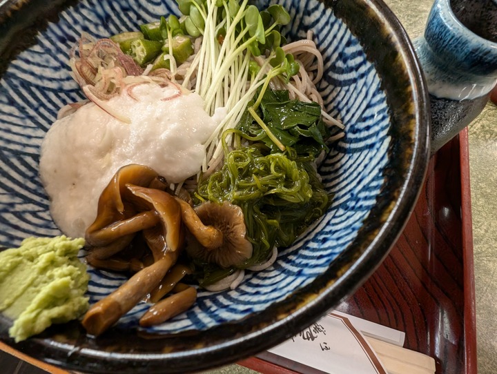 15nagaokaya035002867