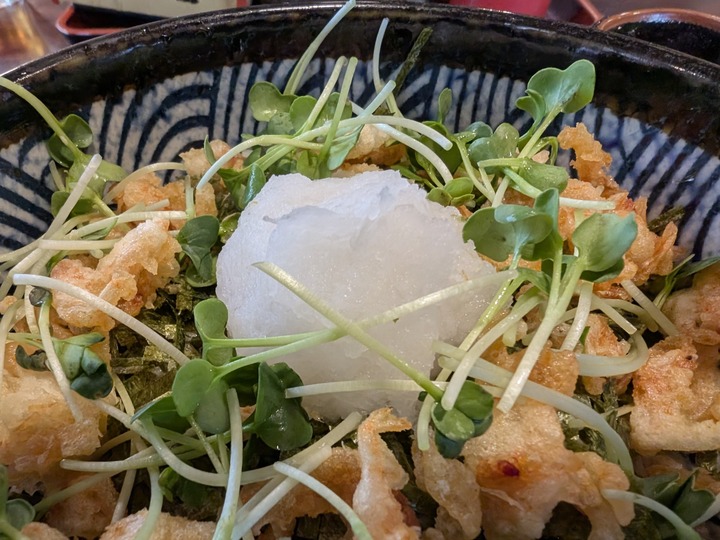 13nagaokaya042625567