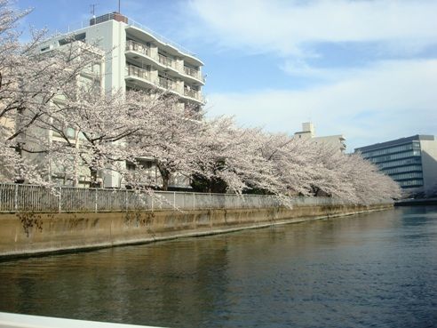 大横川