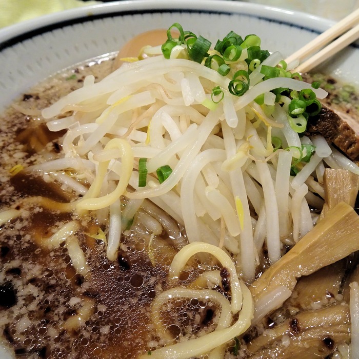 63hanabiya02848