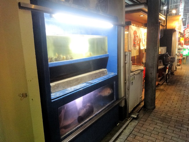 02uogashi01454