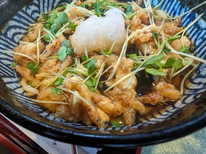 13nagaokaya040743090