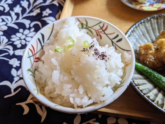 09shinocafe043058081