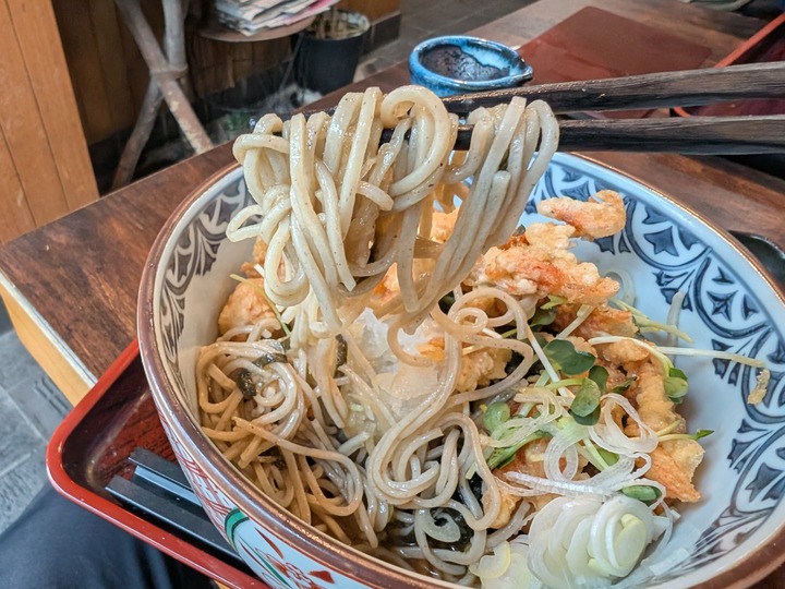 11nagaokaya042141799
