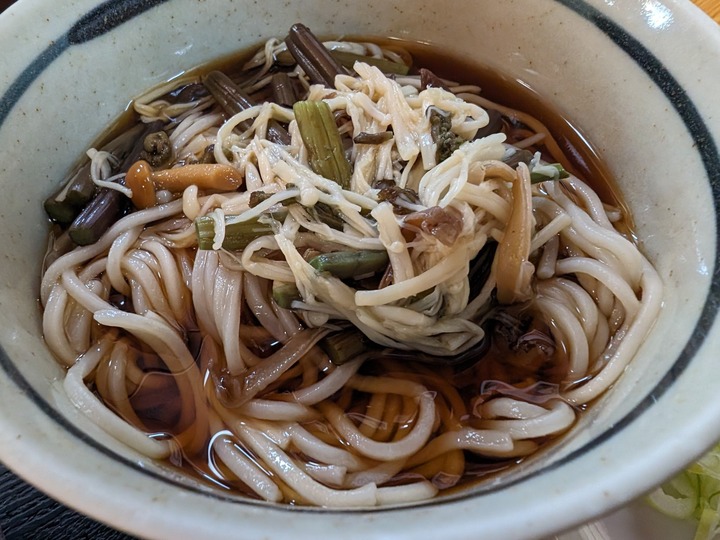 66matsuya034826222