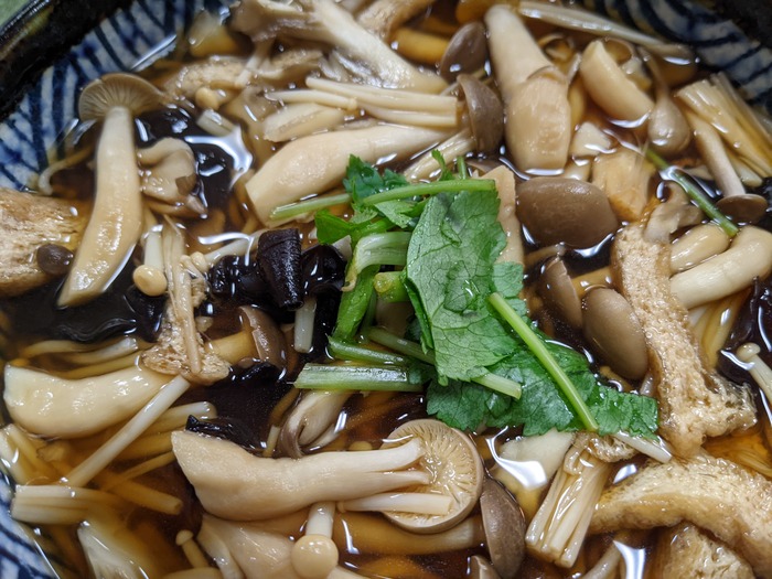12nagaokaya040634641