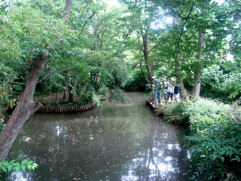 武者小路実篤記念館-実篤公園