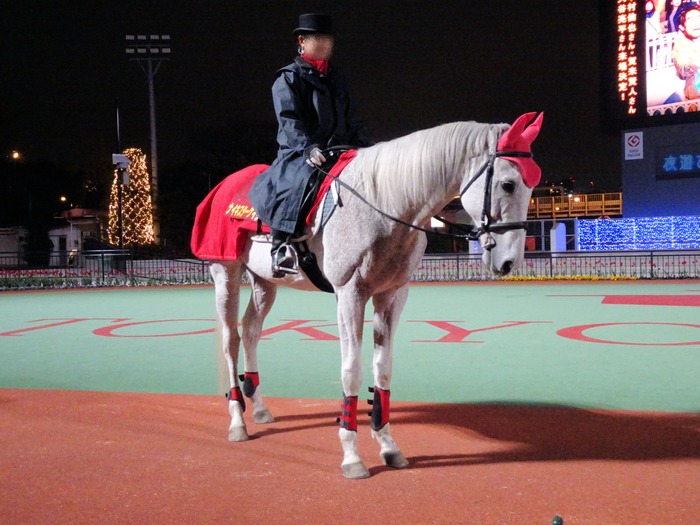 04tomega05624