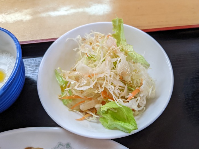 09yosyu041914875