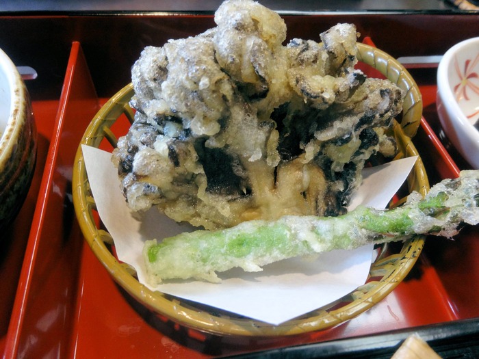 101tamaru05782