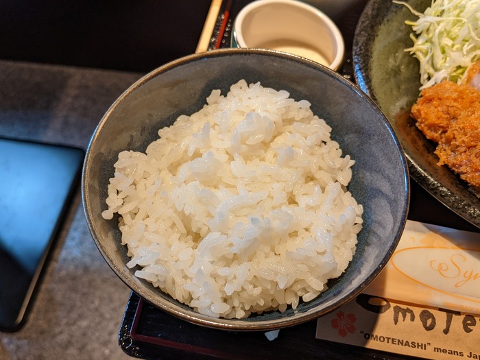 09sakura040229671