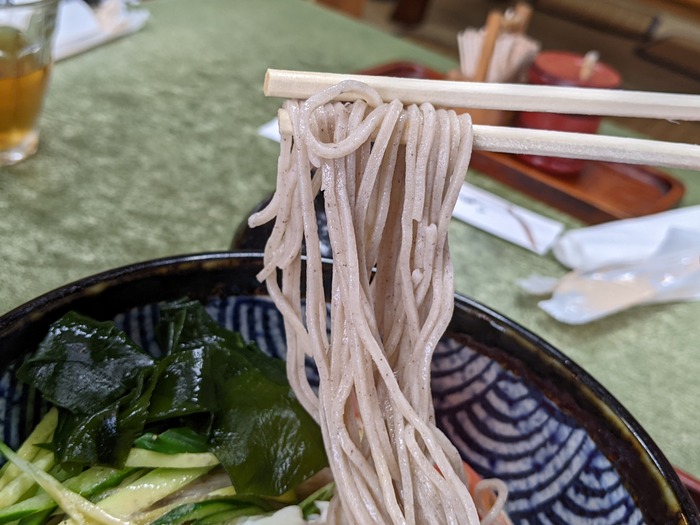 12nagaokaya040700568