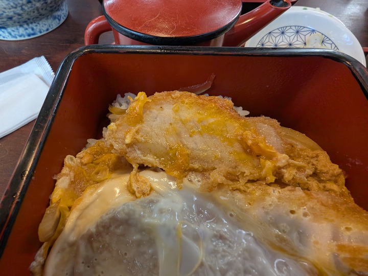 10nagaokaya042408132