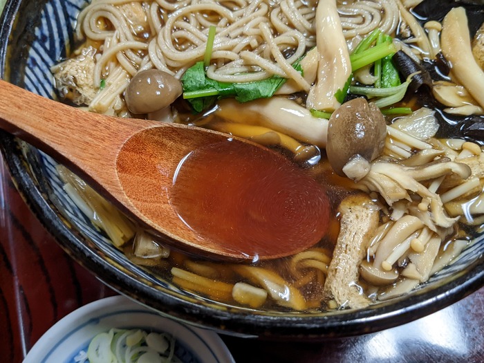 10nagaokaya040910552