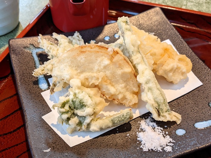 09nagaokaya040050623