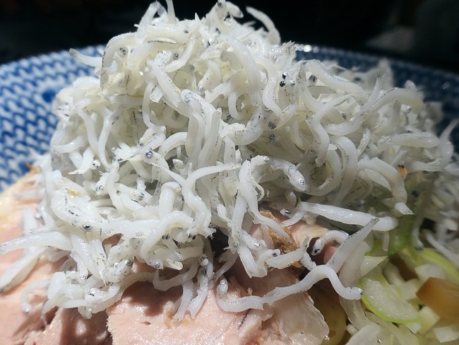 05tonibo09909