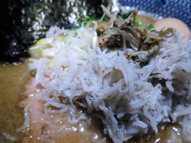 58tonibo01116