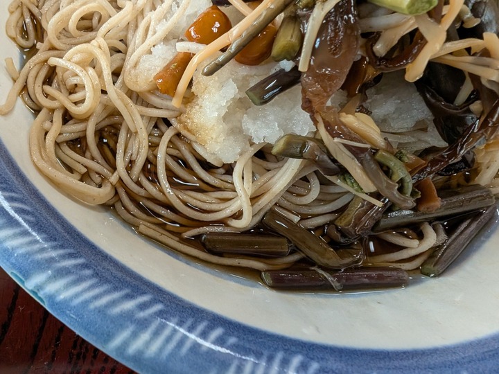 61nagaokaya043343041