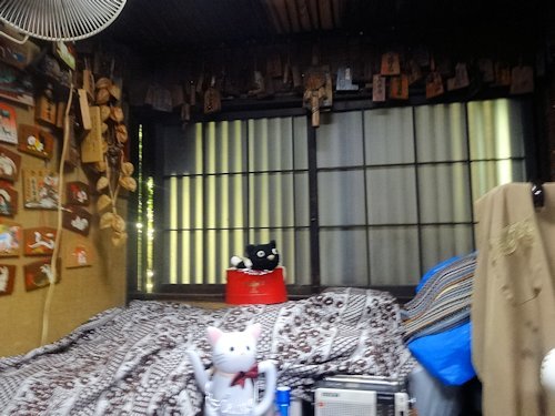 酒房 北国＠中野