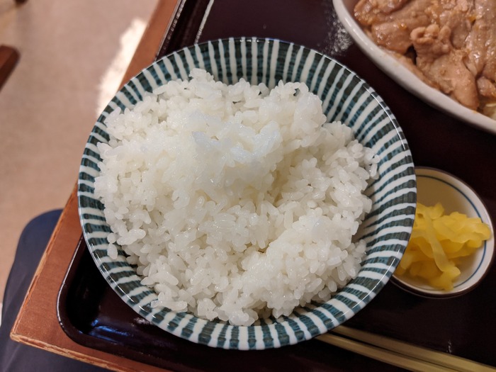 08nogatasyoku133403