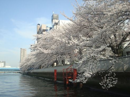 小名木川