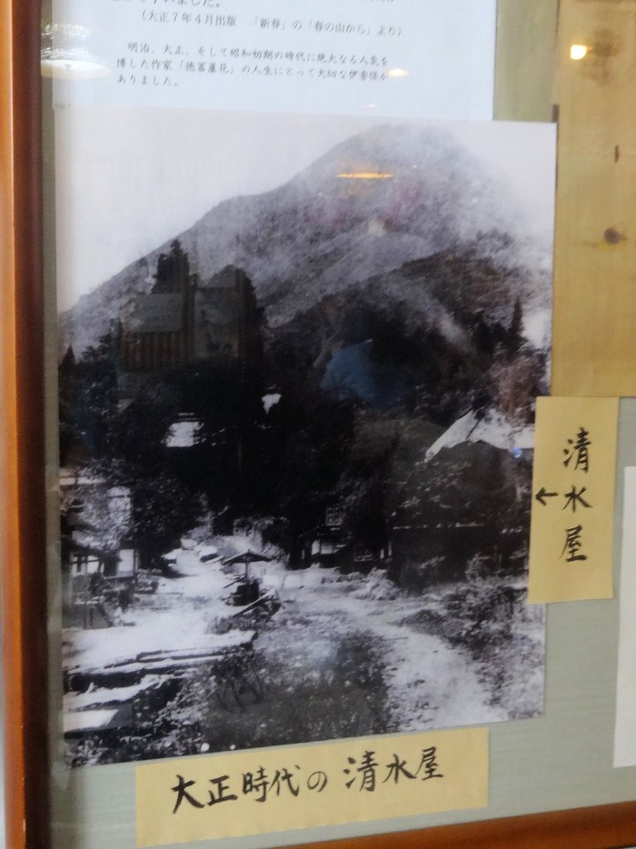 11shimizu05559