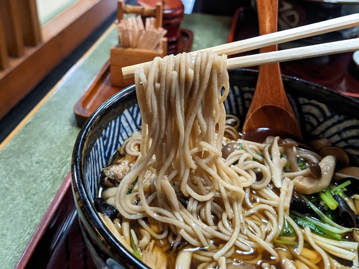 11nagaokaya040959473