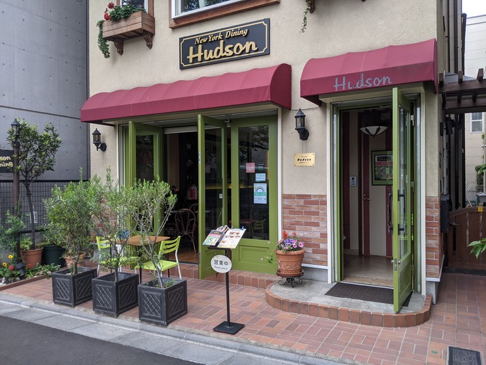 51hudson044520805