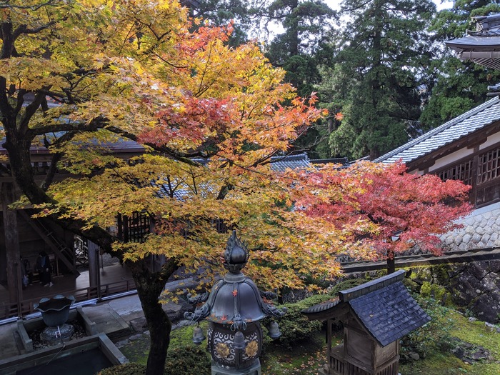 51sanraku020934239