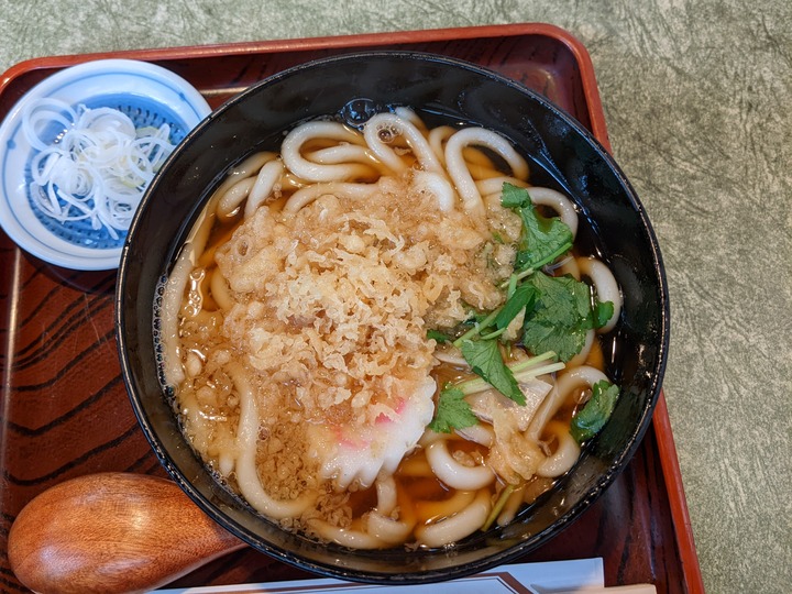 61nagaokaya040548269